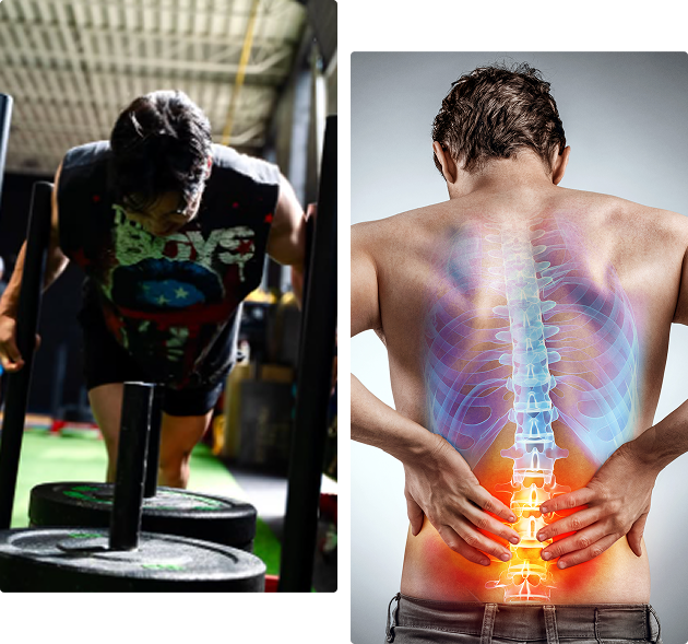 Integrated therapy and recovery at Rise Training Club